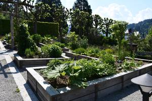 Quelle: Kräutergarten